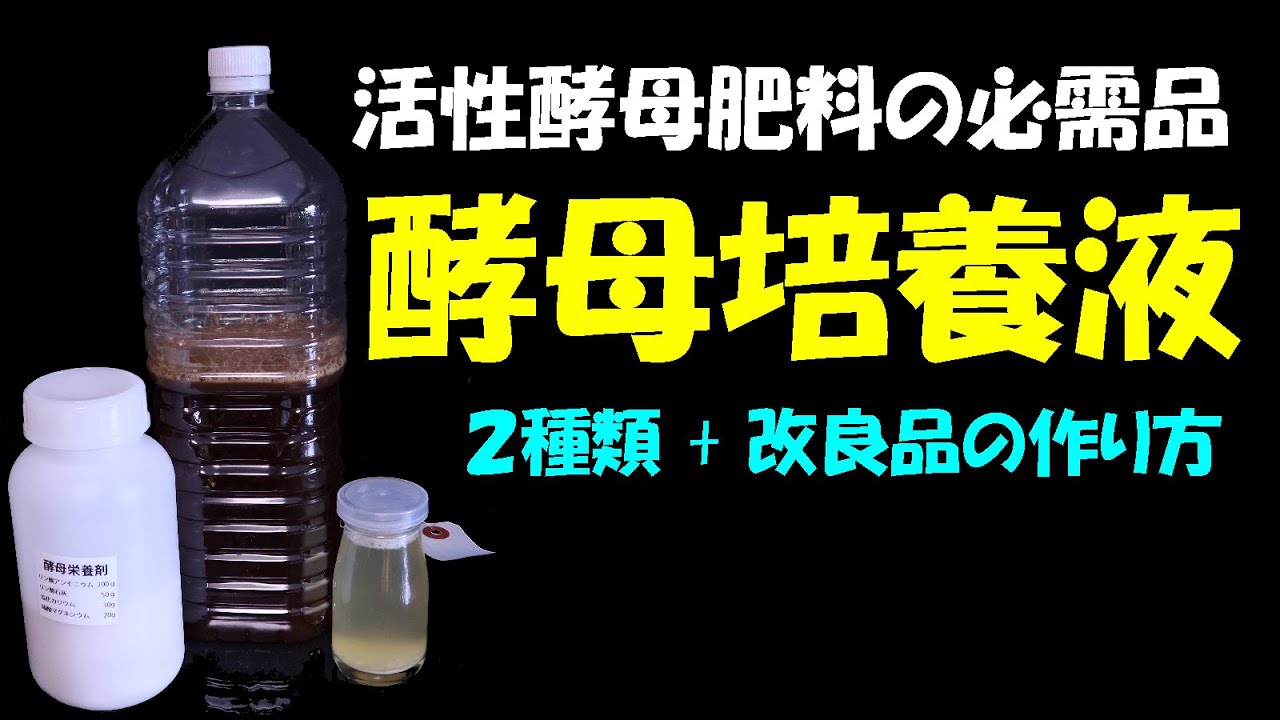 【永久保存版】活性酵母肥料の必需品　酵母培養液
