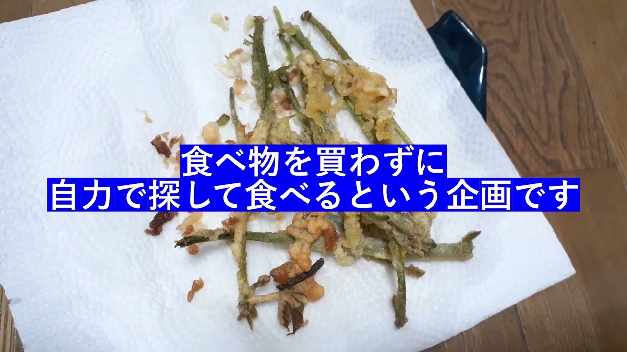 アメフラシ 極限サバイバル4日目ですが 夜に釣り行ってきました 会社帰りなので 短時間で切り上げたいと思っていたところ 奇妙なものが釣れました 背に腹は変えられないので 調理しますよ Ep 027 Youtube