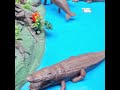 artes japonesas em gramado bondinhoo.