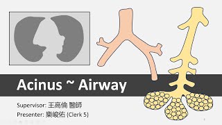 Imaging_Acinus, Air Bronchogram, Air Crescent, Air Trapping, Airway
