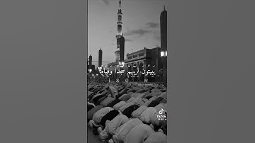 القارئ ادريس ابكر