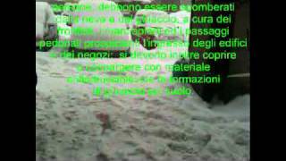 San Felice e la neve....avi