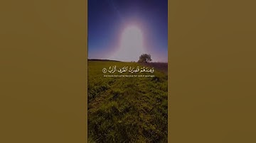 ماهر المعيقلي تلاوة خاشعة #اكسبلور #القرآن_الكريم #المصحف #quran #الرحمن #تيك_توك #راحة_نفسية