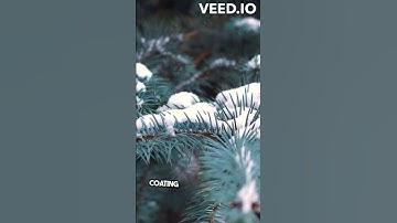 The Amazing Secrets of Pine Needles!