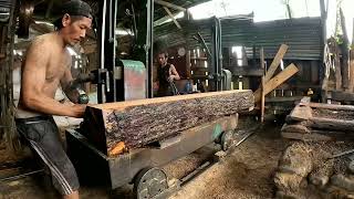 #the production process for splitting large pine wood with various sizes