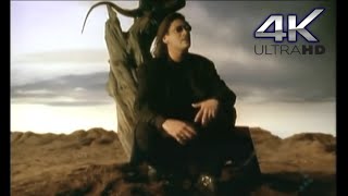 Lost in Your Love | 4K