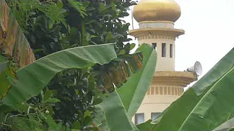 VIDEO HASIL RECORD HANDYCAM PANASONIC HC-V180 SELESAI GANTI LENSA YANG BERJAMUR