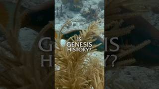 How Do We Know the World Didn't Evolve Over Billions of Years?