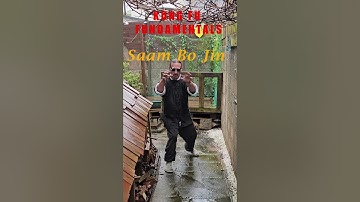 First Form Saam Bo Jin 2 #martialarts #kungfu #kungfuskills #prayingmantiskungfu #kungfutraining