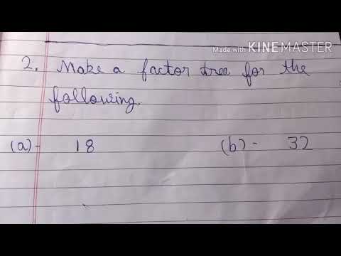 Make a factor tree for the following - YouTube