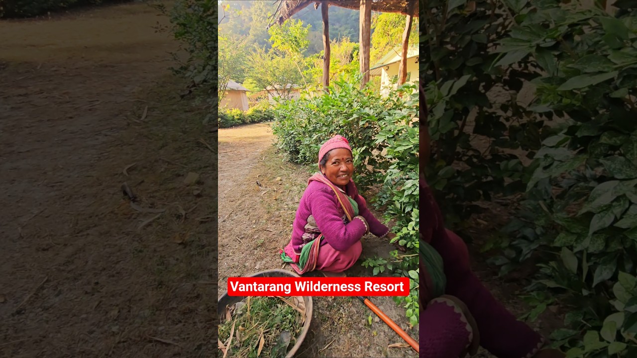 Beautiful Uttrakhand Resort at Raja ji national park ..