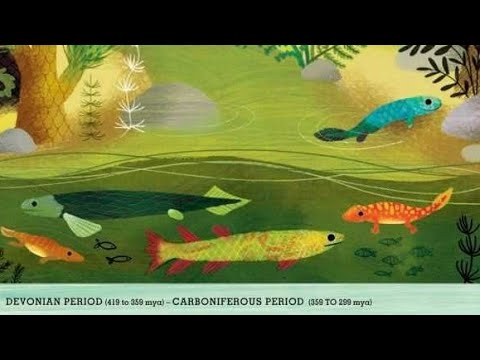 Quick Dip 4: INVASION OF THE FISHAPODS! (STEM book OUT OF THE BLUE)