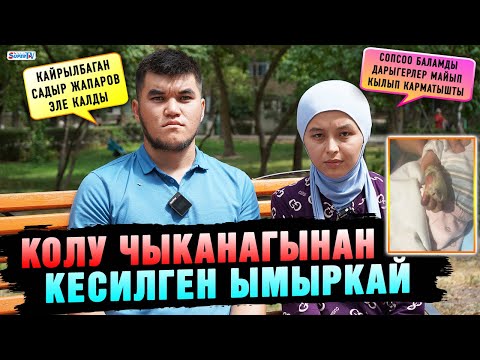 Video: Кесилген тарамыш өзүнөн өзү айыгабы?