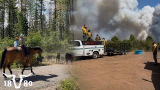 Wildfire Currently Ripping Through Colorado Cattle Ranch's