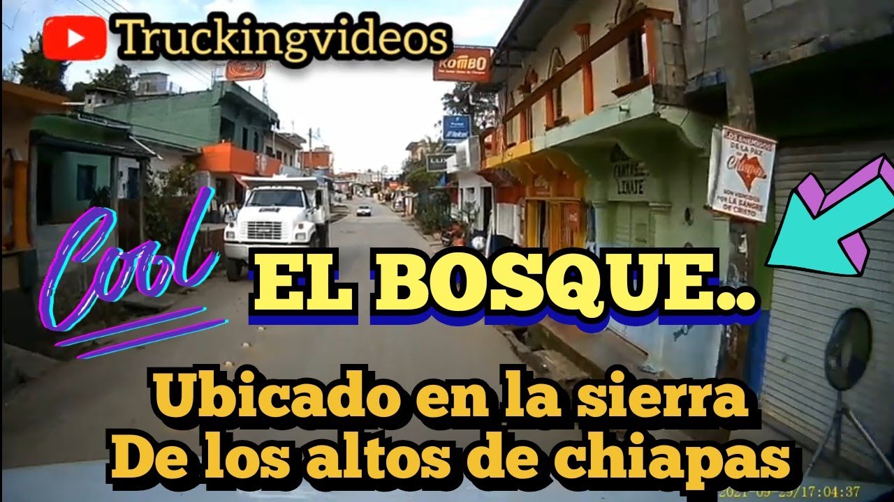 el bosque chiapas YouTube