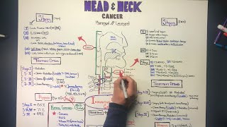 Head & Neck Cancers (Laryngeal & Pharyngeal Carcinomas) - a Tutorial by Oster Oncology
