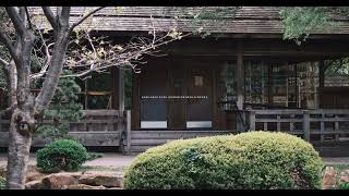 serene wooden cabin with lush greenery in tranquil setting | Cinematic 4K B-Roll screenshot 4