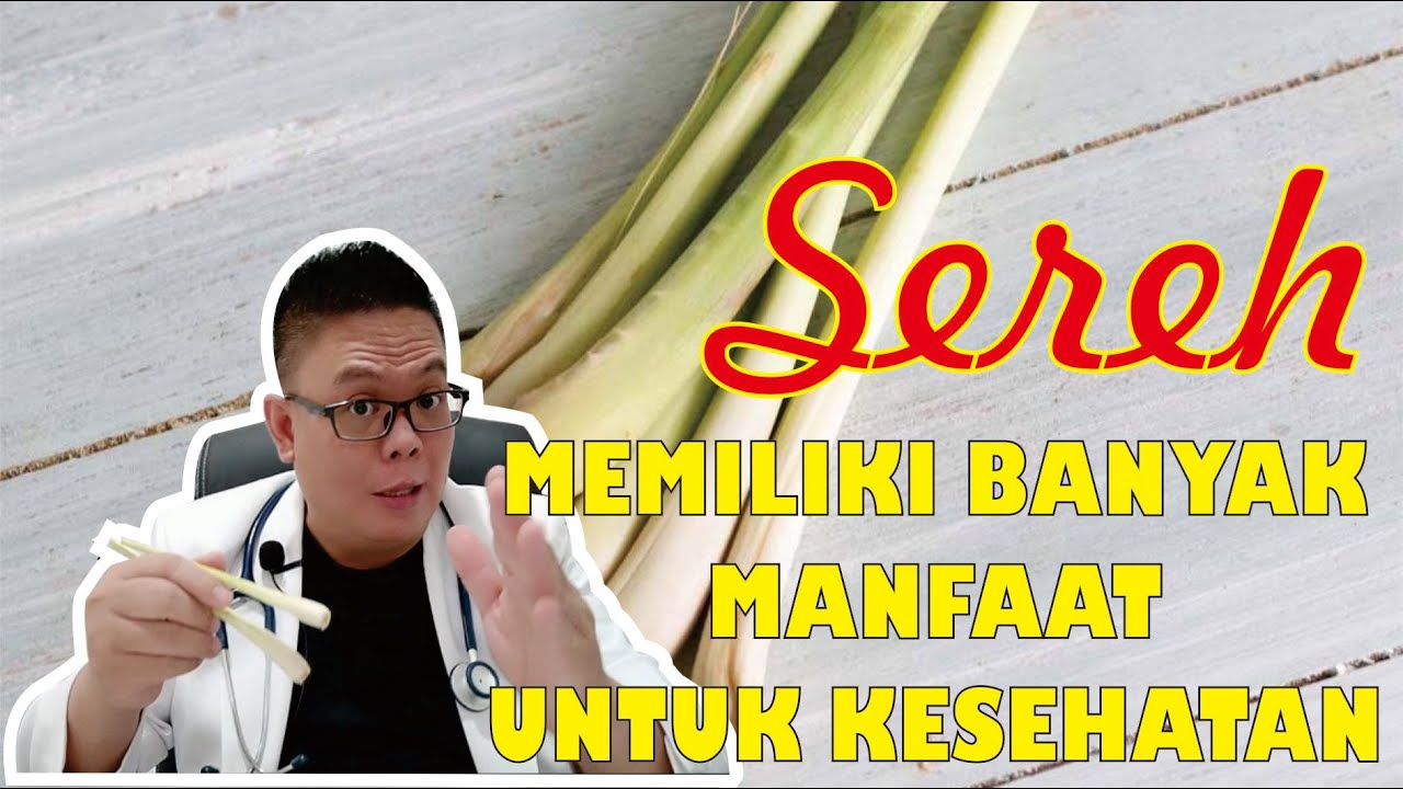 SEREH............ MEMILIKI BANYAK MANFAAT UNTUK KESEHATAN TUBUH