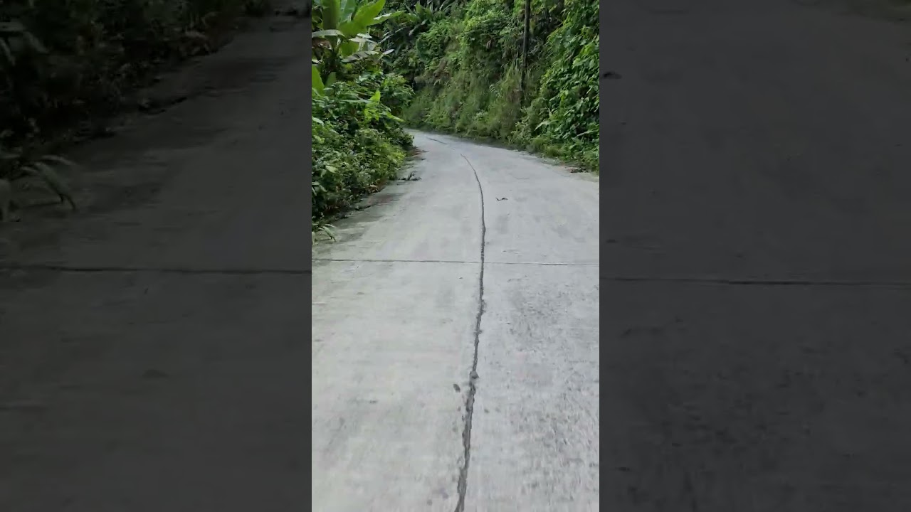 On the way to Matingue,Santiago Agusan del Norte 2025