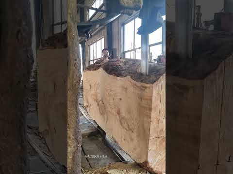 #woodcut #carpentry #woodcuting #cuttingwood #cutting #furniture #toolsmachine #woodworking