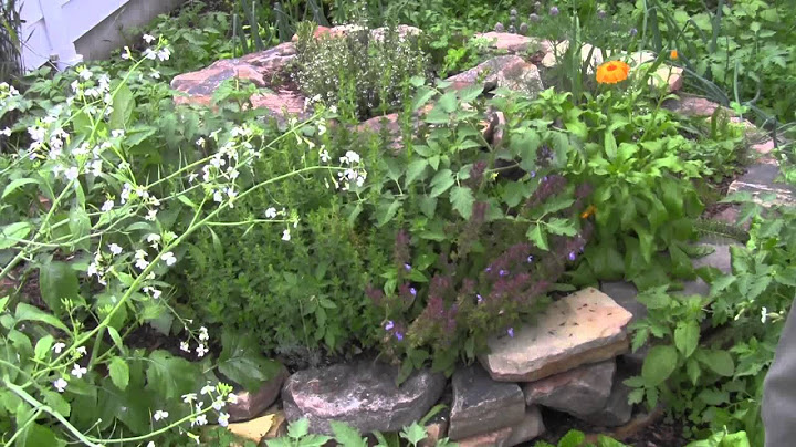 How to Build an Herb Spiral Part 2 Planting)