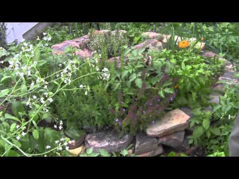 How to Build an Herb Spiral Part 2 Planting)