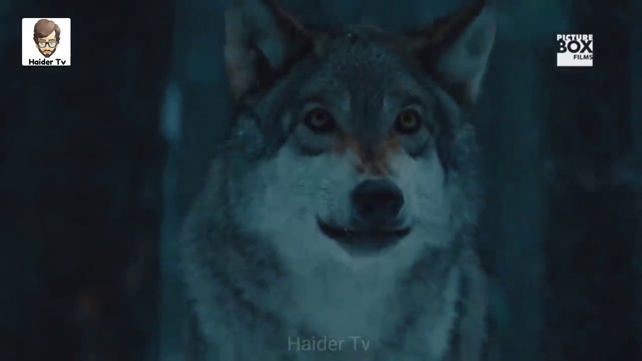 Картинки волк gif