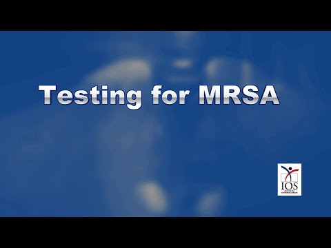 Vídeo: Infecções Por MRSA Em Animais De Estimação - Como Os Animais De Estimação São Infectados Com MRSA?