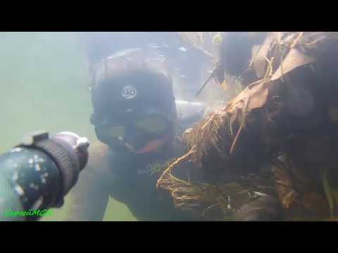 Тест наконечника Корона-1.