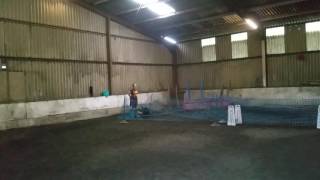 Flyball training session