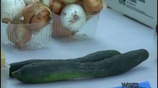 MidMichigan Medical Center - Alpena Offers Onsite Farmers Market