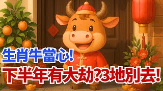 生肖牛警惕！你下半年有生死大劫？這3個地方千萬不能去！屬牛人必知！ #2025年生肖牛運勢 #2025年生肖牛運程 #2025年屬牛運勢 #2025年屬牛運程