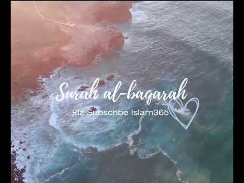 #BaqarahBreakdown#TrendingTafsirBaqarah#SurahBaqarahVibes#ExploreAlBaqarah#BaqarahBuzz