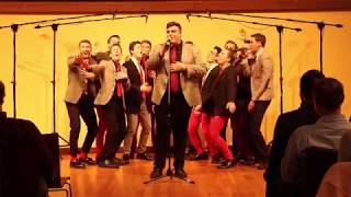 Video thumbnail of "Never Give Up On Me (opb. Misterwives) - Beelzebubs A Cappella"