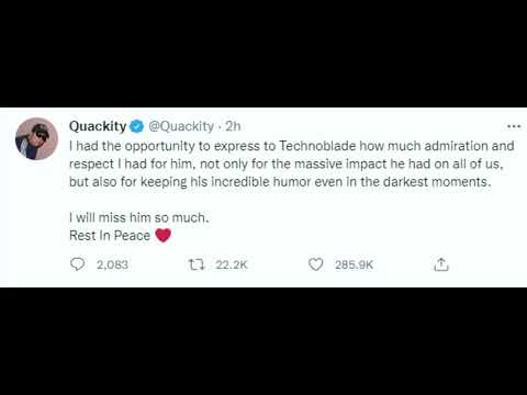 Dream SMP says goodbye to Technoblade dream vods