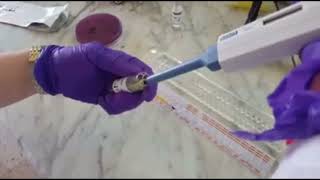#comment faire une galerie api pour #identification de #enyerobacterie #microbiologie #bacteriology