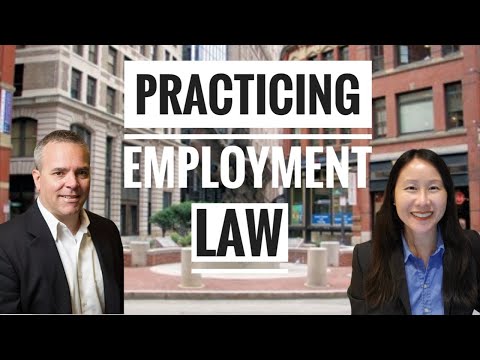 Being an Employment Lawyer & Success as a Solo Attorney | Boston New England Law Mark Szal