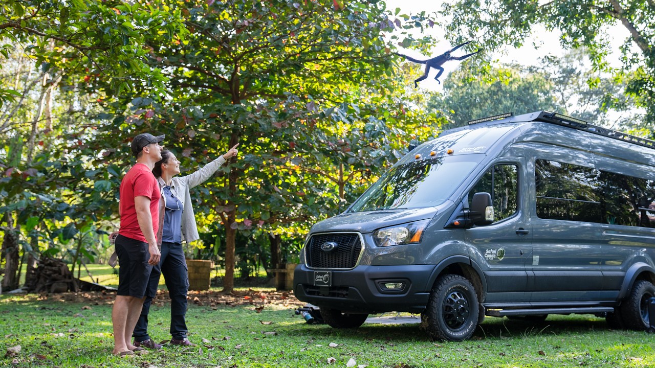 On campe avec les SINGES et les PERROQUETS dans la JUNGLE du Chiapas!