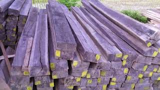 Keunikan Rumah Adat kajang Lako dari provinsi Jambi