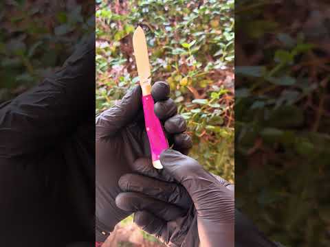 Presenting Eureka in Smooth Purple Bone