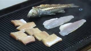 Karadenizden Canan Karataya Unlu Balık Tepkisi