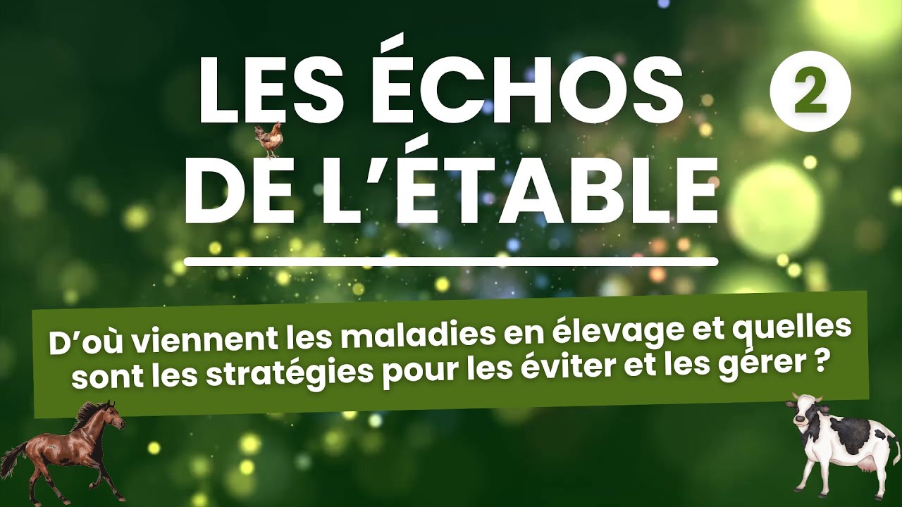 Les Échos de l'Étable - D'où viennent les maladies en élevage ? Comment les éviter et les gérer ?