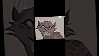 this is my video but not my photos Warrior cats