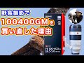 【野鳥撮影】SEL100400GMを２回買った理由【なぜSEL200600Gにしなかったのか？】