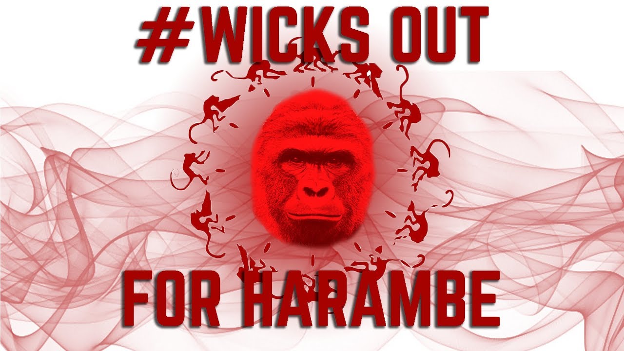 HARAMBE LIVES ON!! Beaver Fever Juice Review 12