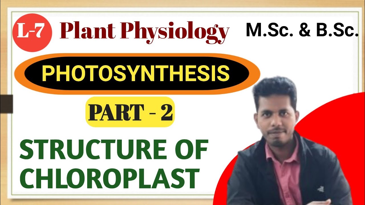 Photosynthesis, Part - II , Chloroplast structure, structure of ...