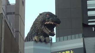 Godzilla Searching For His Brother