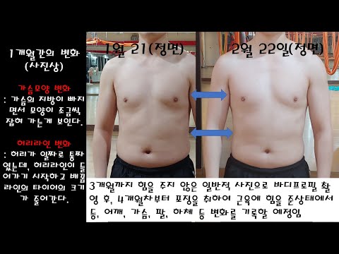 헬스, 다이어트 1개월 몸변화 과정!(일반인, 운동인X)