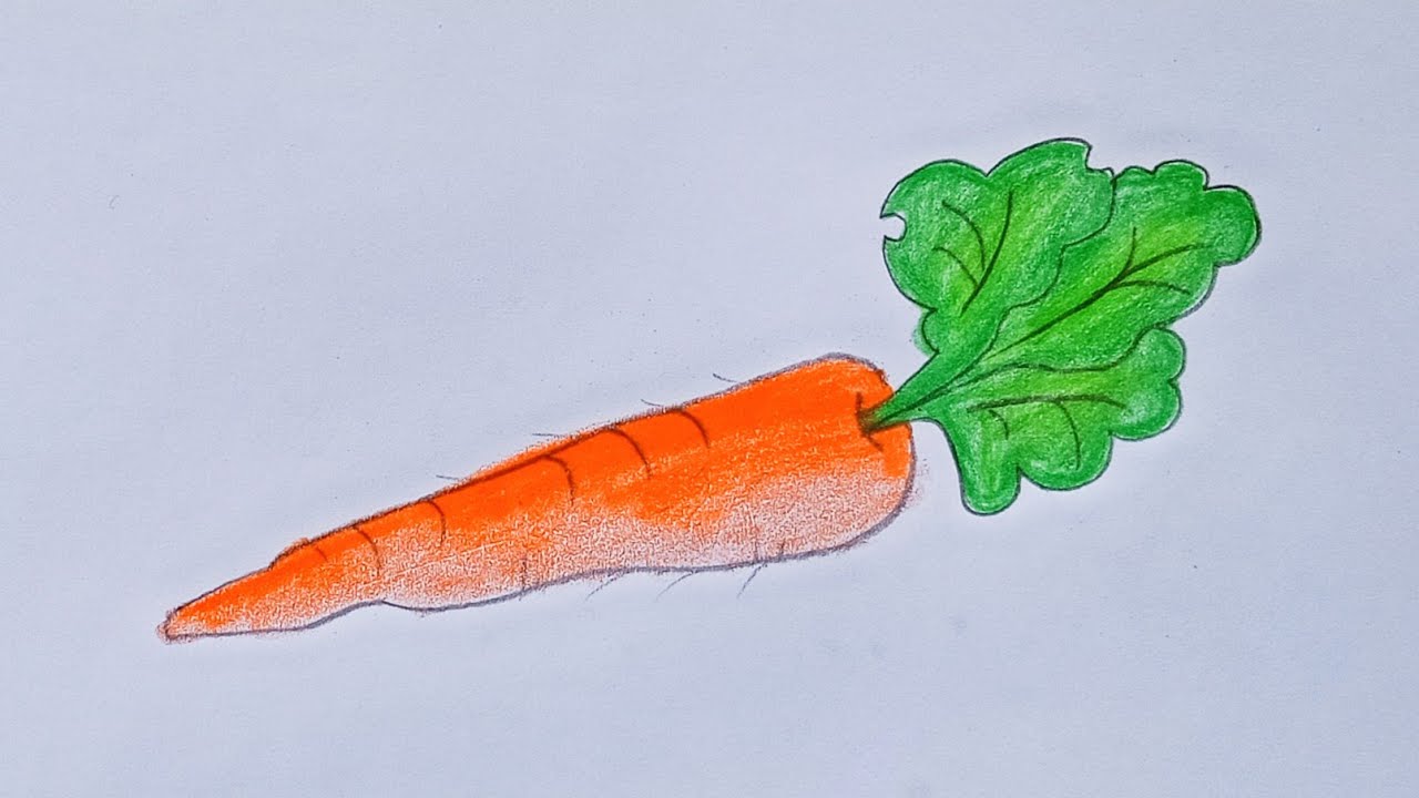 Carrot Drawing - How to Draw Carrot Step by Step (2020) - YouTube