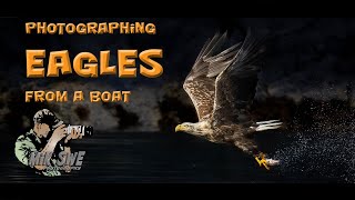 Photographing eagles from a boat